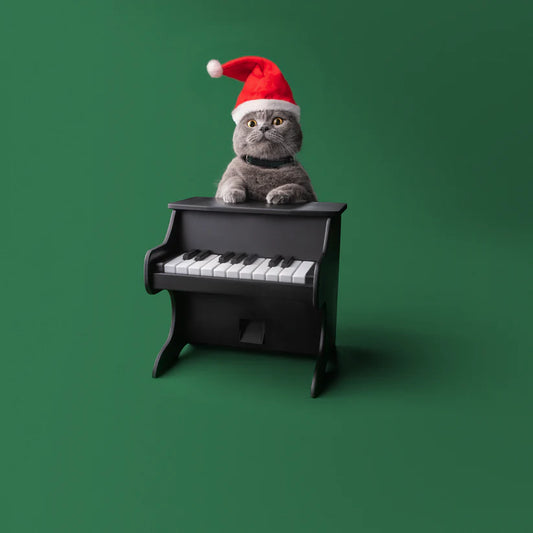 Pet Piano Smart Feeder