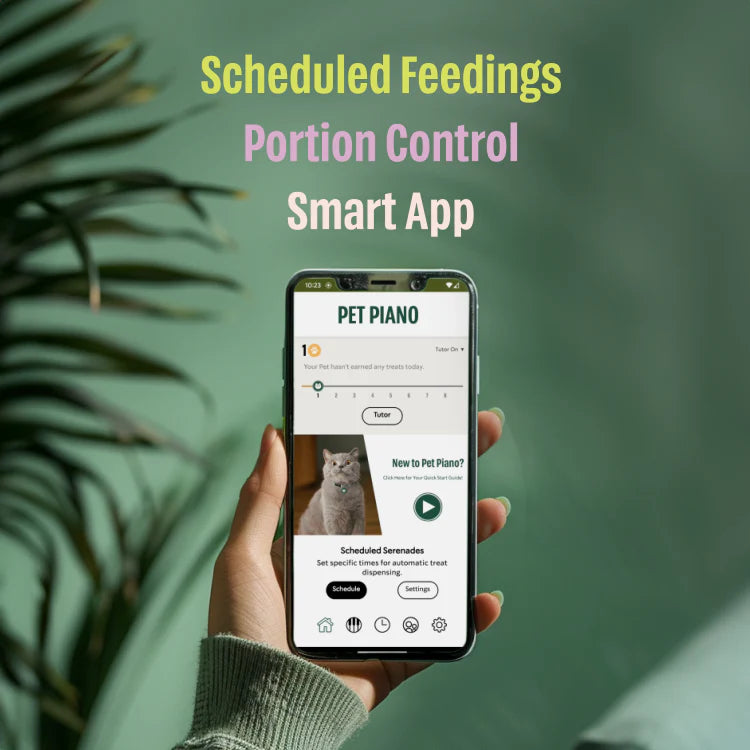 Pet Piano Smart Feeder